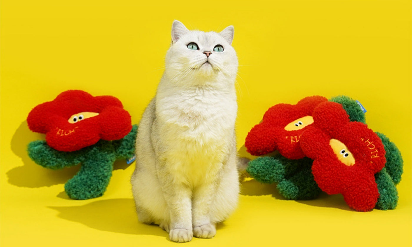 “Rich Bloom” Catnip Pillow Toy: A Soft Flower to Swat, Hug, and Unwind