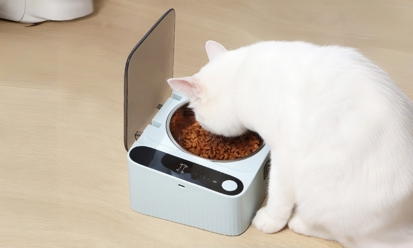 Smart Auto-Lid Pet Bowl: Fresh Meals, Quiet Routines, Less Mess