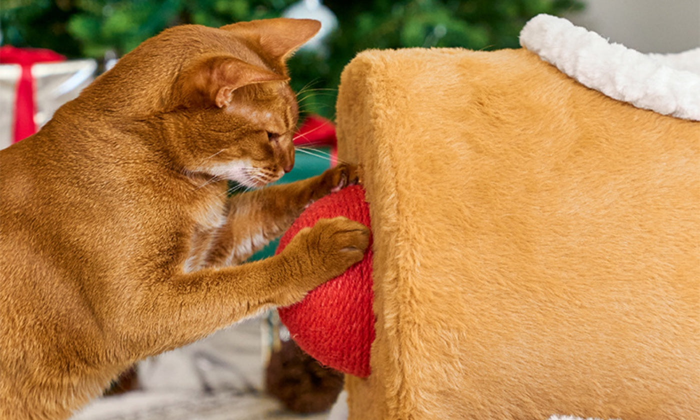 The Reindeer Train Cat Playset: A Modular “Holiday Corner” Cats Use All Year