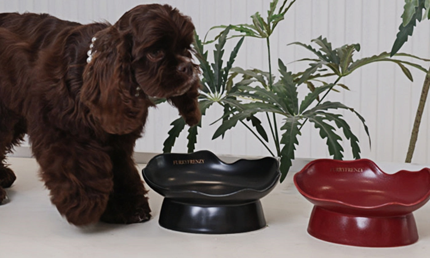 Handcrafted Raised Ceramic Bowl: Functional Art for Calmer, Slower Meals