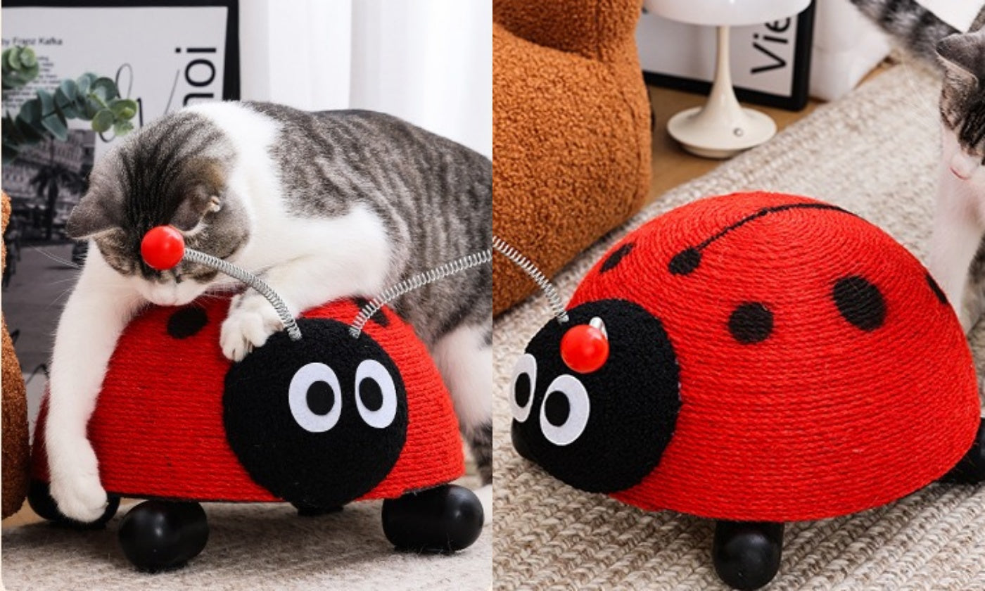 Cute Enough to Leave Out: The Cartoon Sisal Scratcher That Saves Sofas (and Floors)