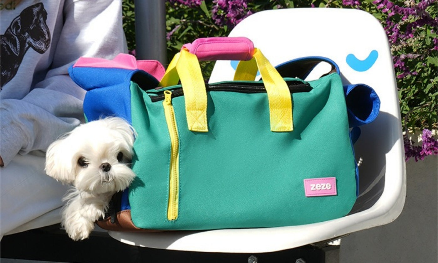 Sport Crossbody Pet Carrier: Hands-Free Comfort for Calm City Walks