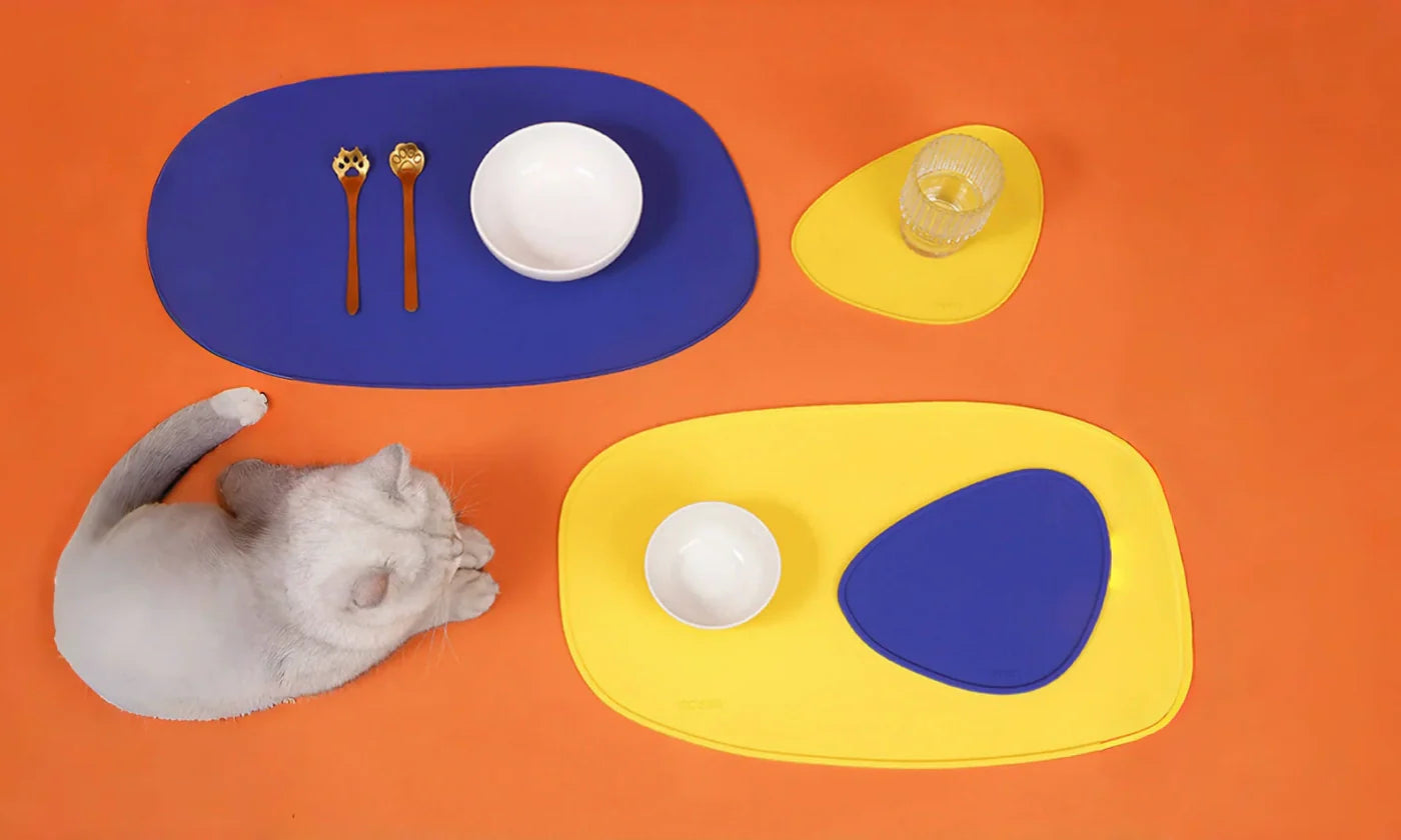 The Quiet Upgrade: A Cleaner, Calmer Feeding Station (In Two Perfect Shapes)