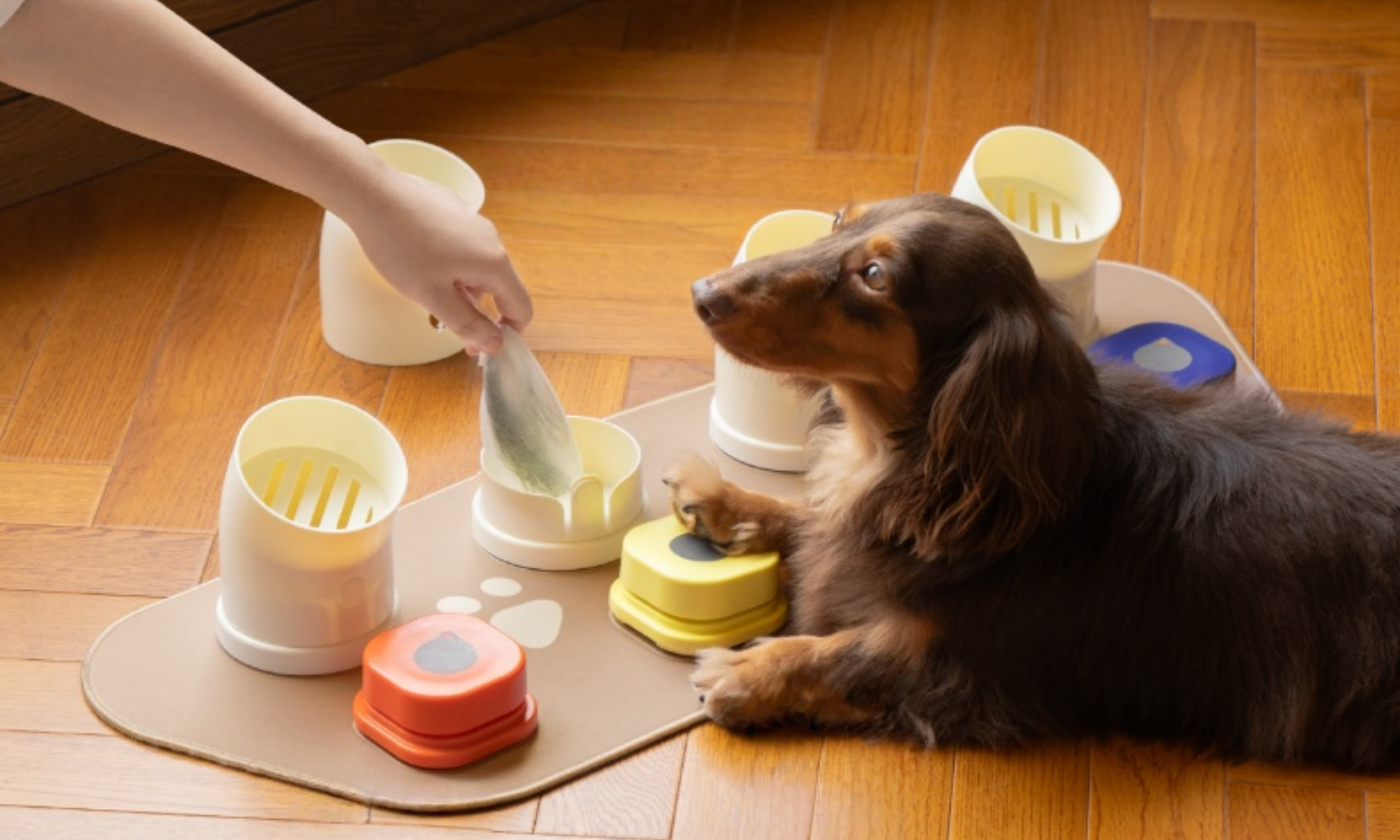 Pet Communication Buttons: A Calm, Design-Forward Way to Teach Needs Into Words