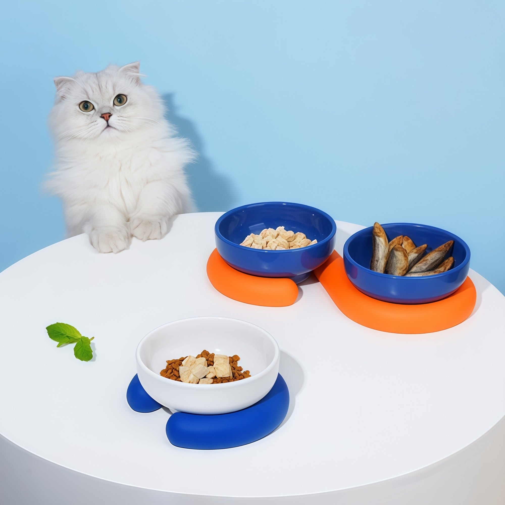 Loops “Circle” Color-Block Bowl: A Feeding Upgrade That Looks Like Décor