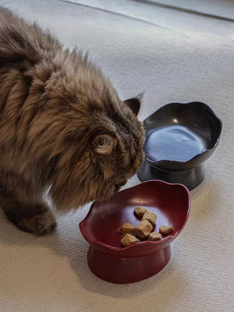 FARUI Handcrafted Raised Ceramic Pet Bowl