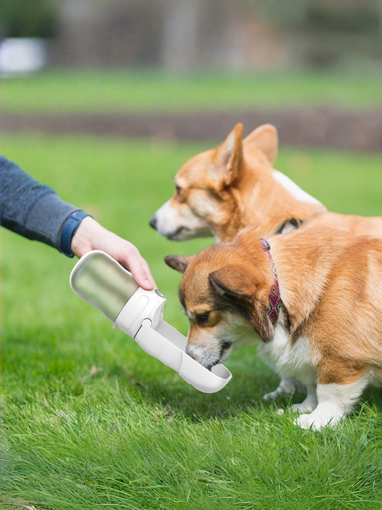 Portable 2-in-1 Pet Water Bottle & Folding Bowl