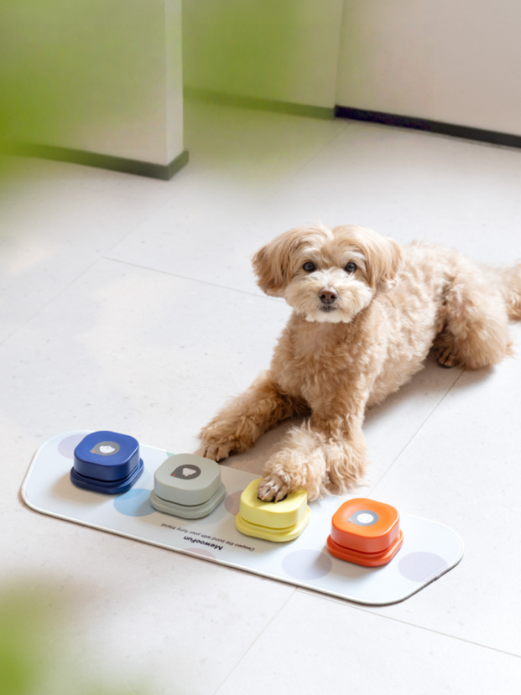 Pet Communication Buttons for Dogs & Cats