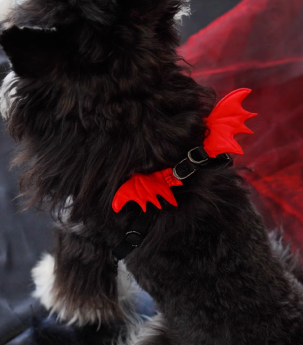 Puppytie Devil-Wing Small Dog Vest Harness