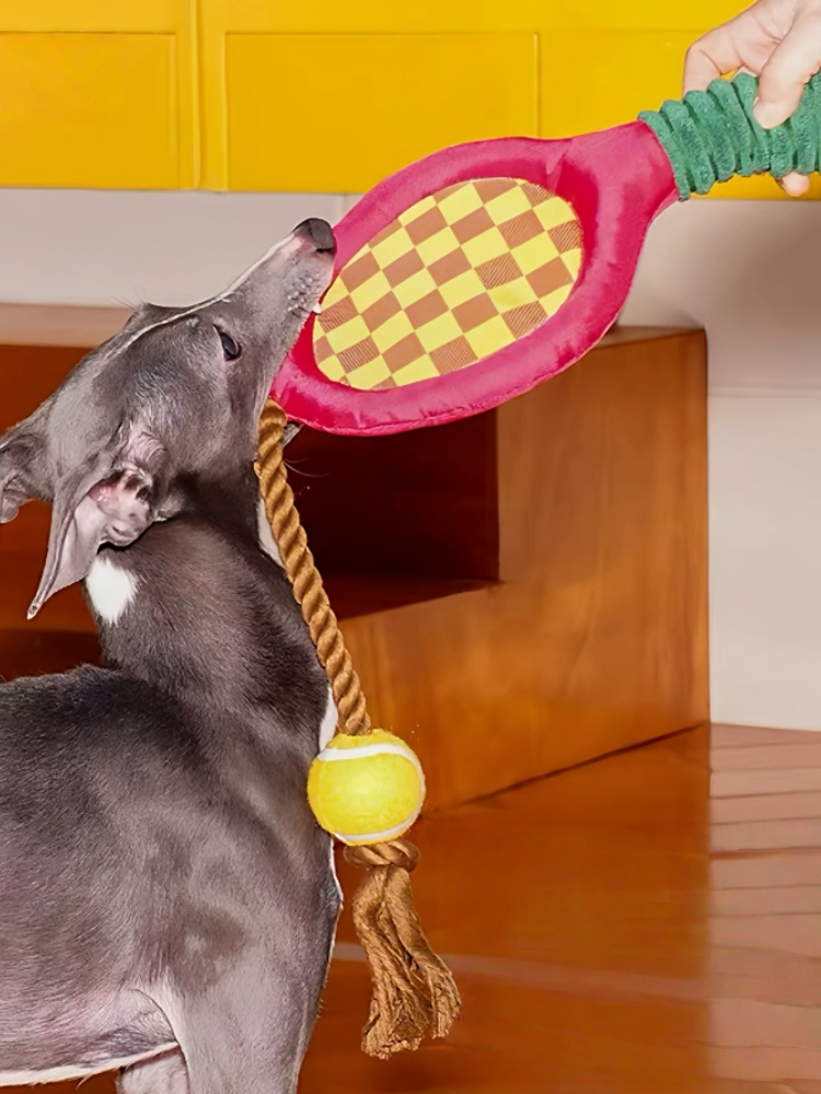 Tennis Racket Dog Rope Chew Toy