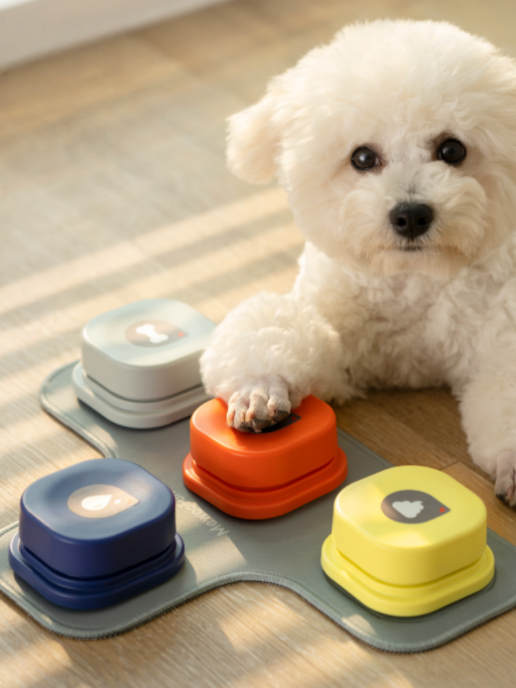 Pet Communication Buttons for Dogs & Cats
