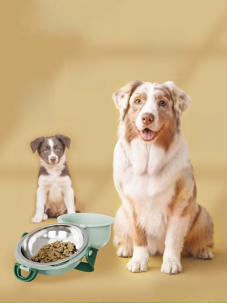 Portable Dual-Bowl Pet Feeder