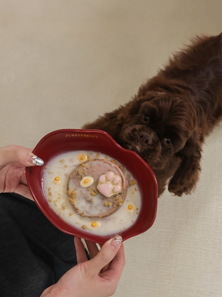 FARUI Handcrafted Raised Ceramic Pet Bowl