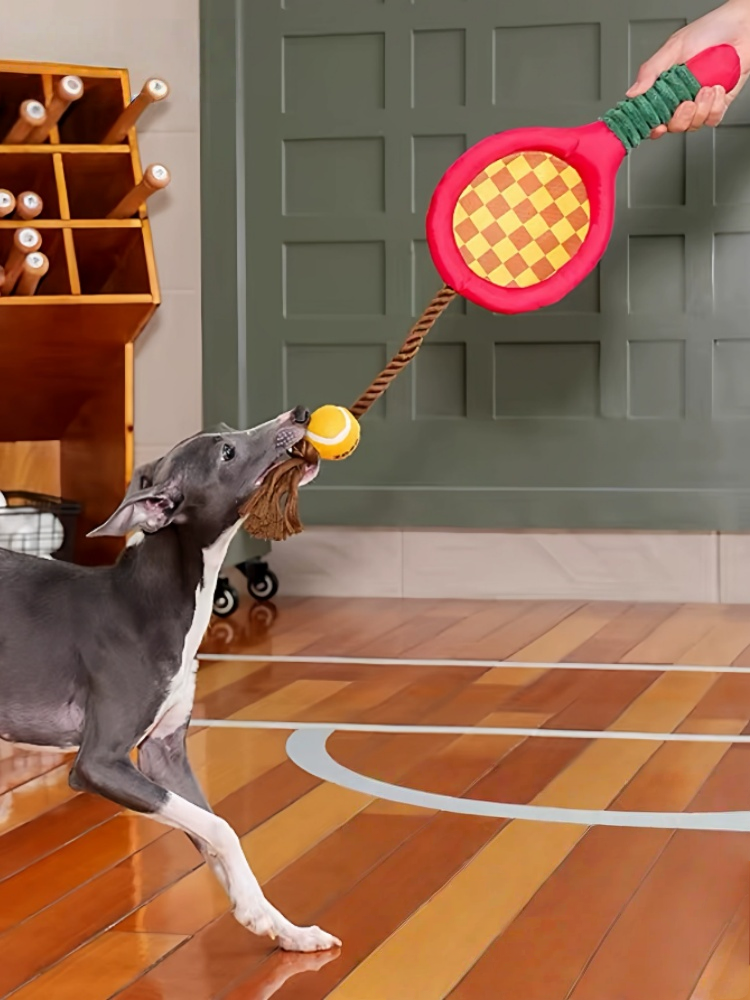Tennis Racket Dog Rope Chew Toy