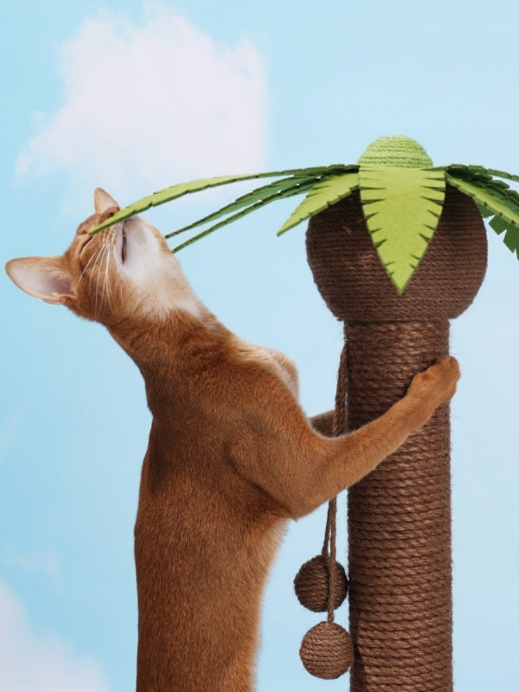 Coconut Tree Cat Scratching Post
