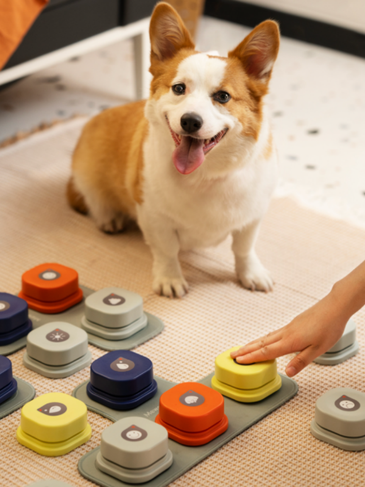 Pet Communication Buttons for Dogs & Cats