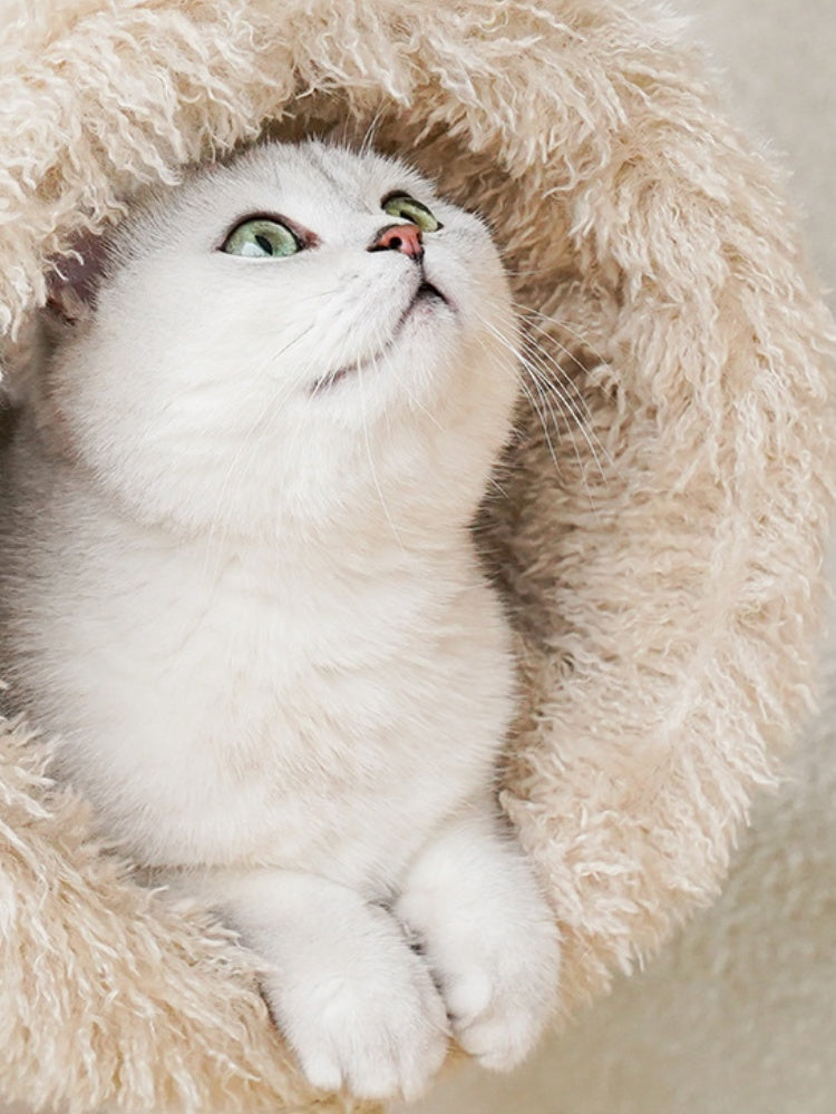 ZEZE Black-Faced Lamb Cat Tree