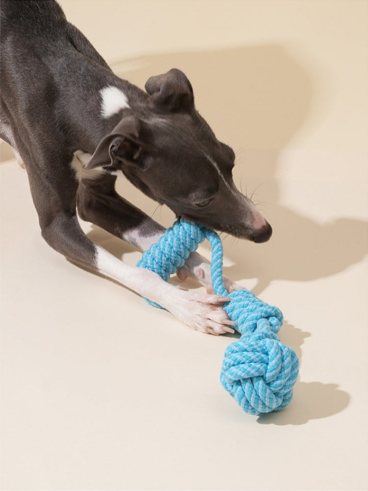 Interactive Tug Rope Dog Toy