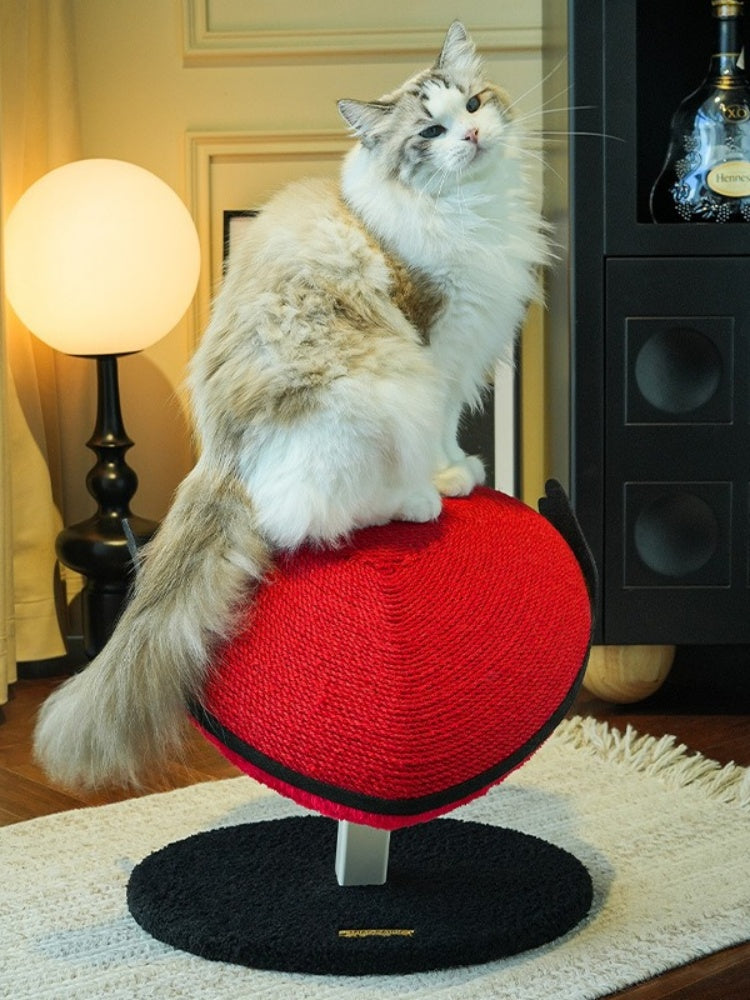 Heart-Shaped Cat Climber