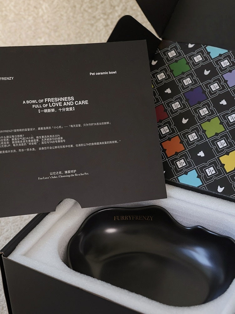 FARUI Handcrafted Raised Ceramic Pet Bowl