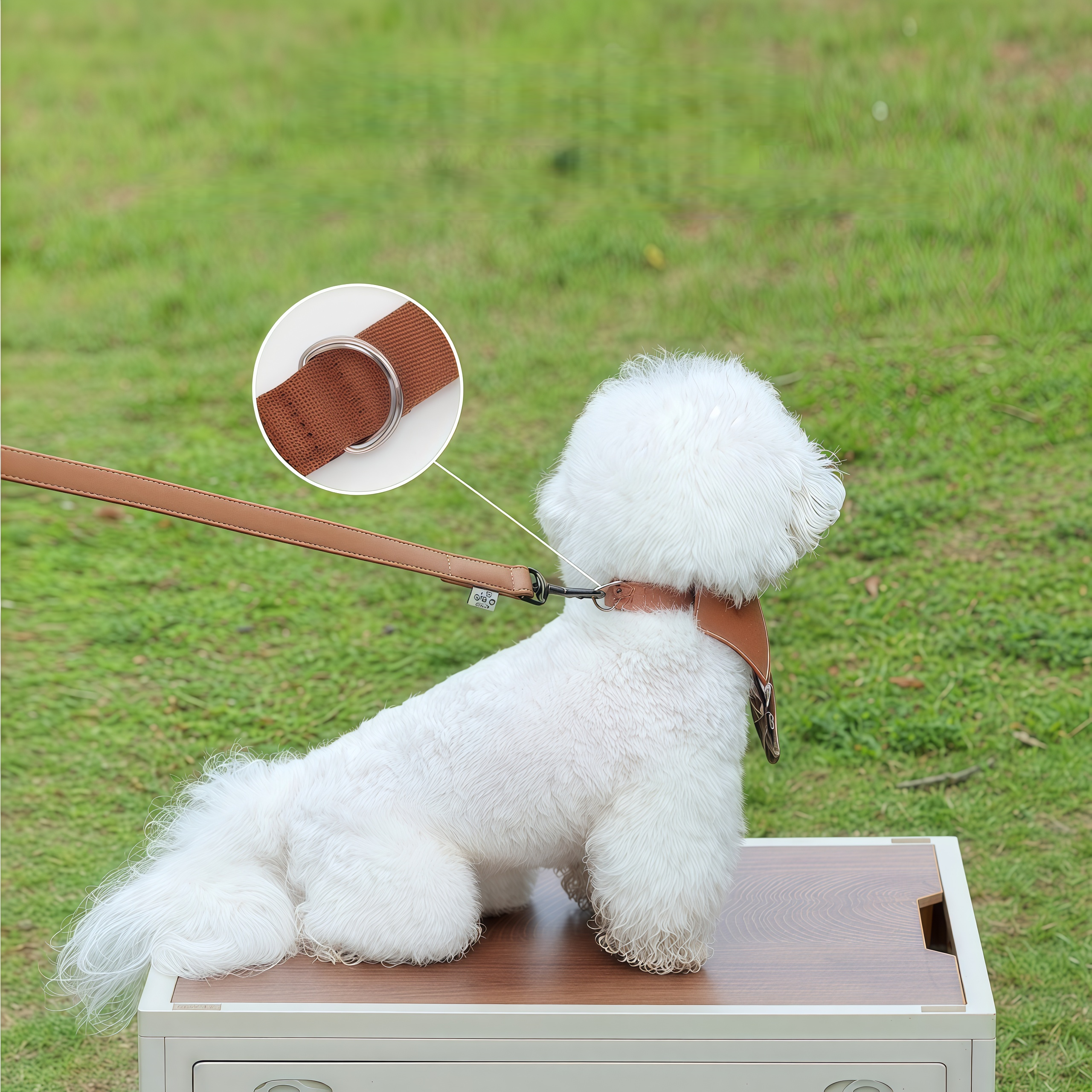 Bow Tie Dog Collar Bandana with Leash D-Ring