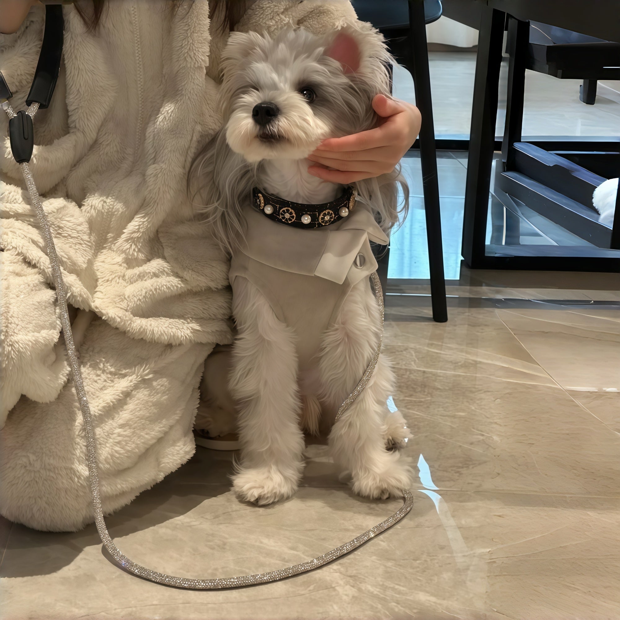 Chic Rhinestone Dog Collar & 59