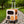 Orange / L Backpack + Trolley