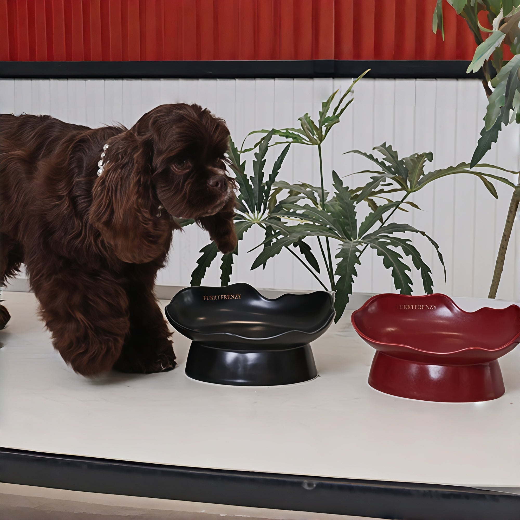 Handcrafted Raised Ceramic Pet Bowl