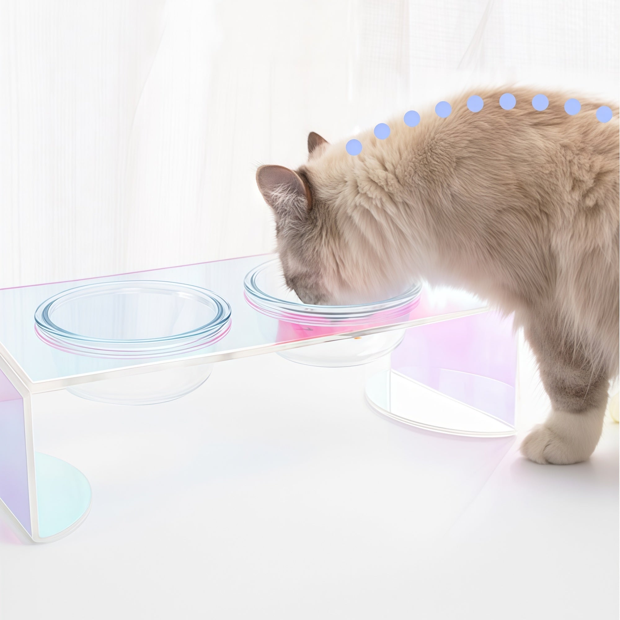 Holographic Acrylic Pet Bowl Stand with Glass Bowl