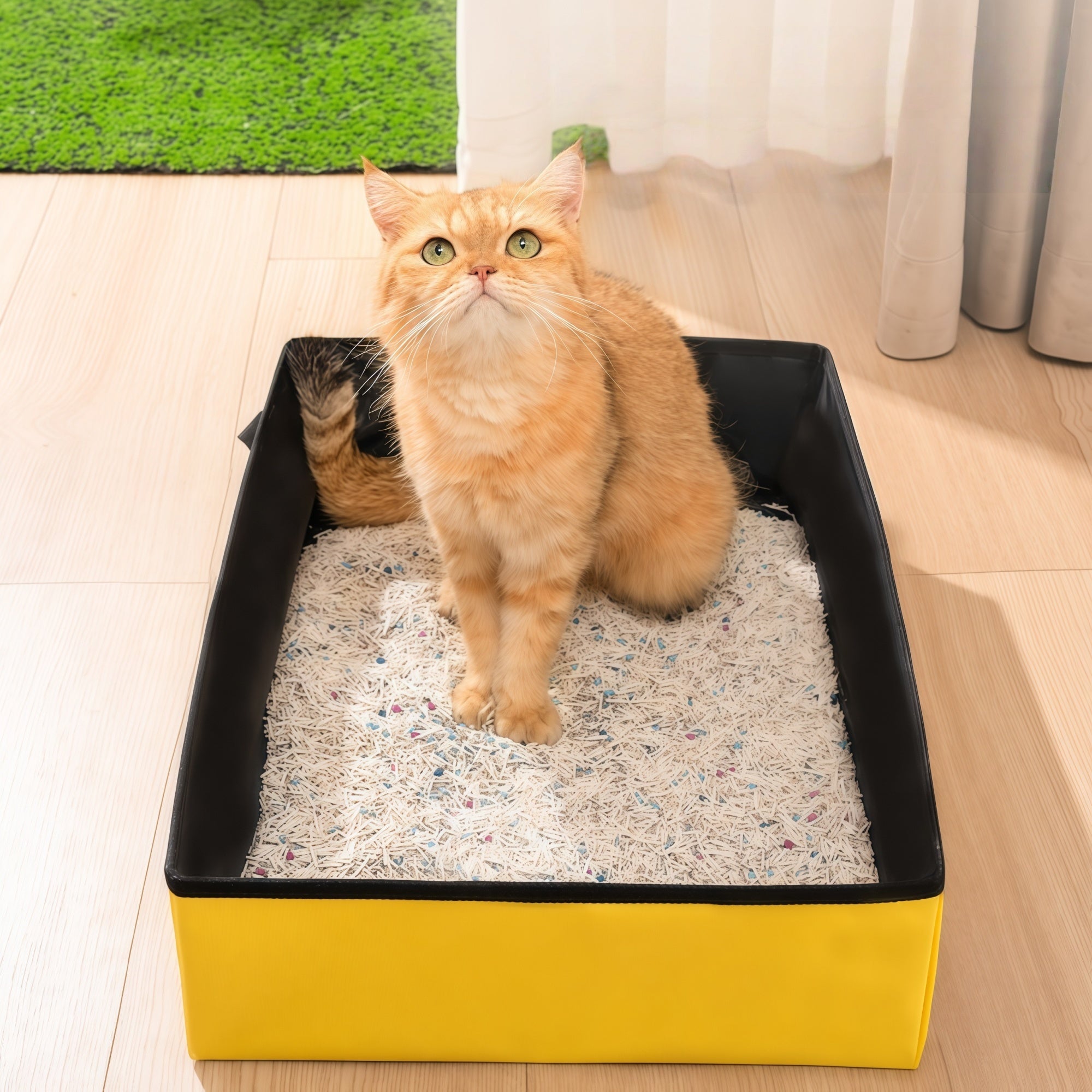 Large Foldable Travel Cat Litter Box