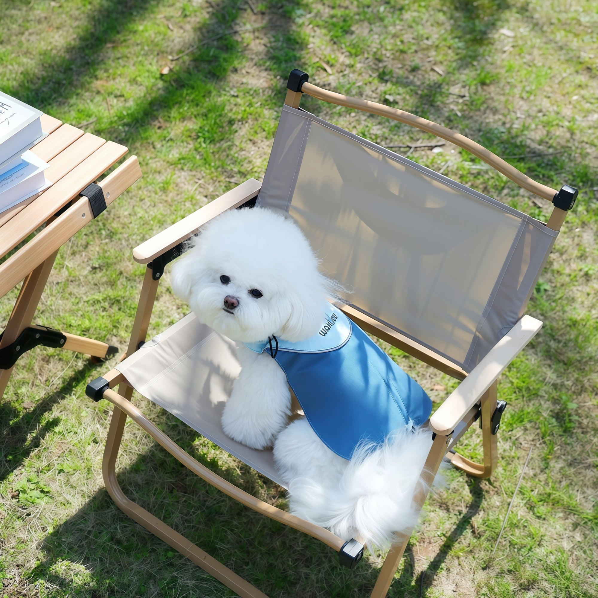 Lightweight Dog Windbreaker Jacket with Leash Hole