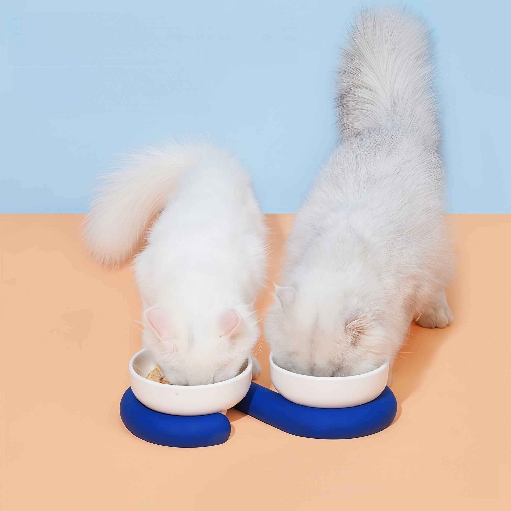 “Circle” Color-Block Ceramic Pet Bowl