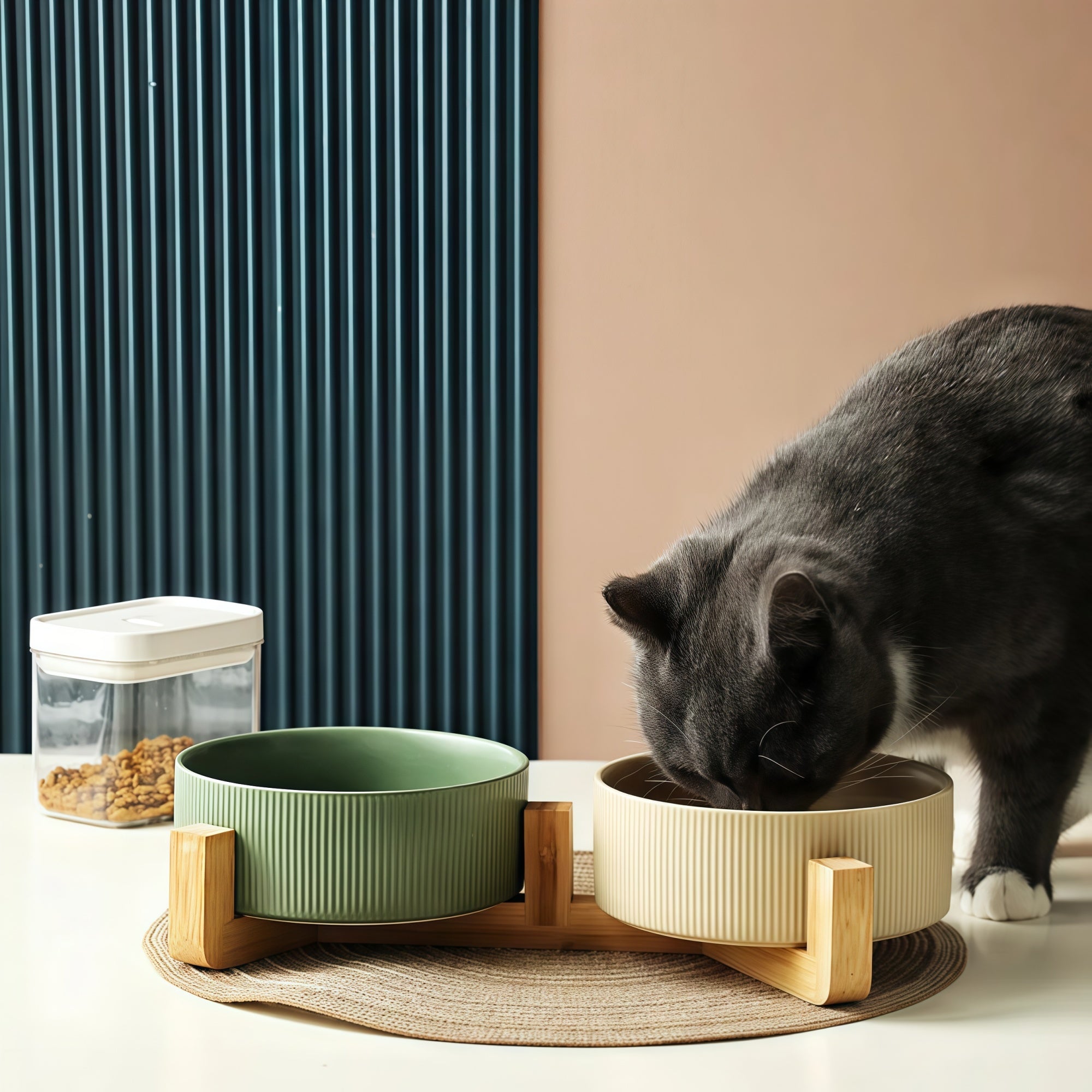 Matte Ceramic Cat Bowl Set