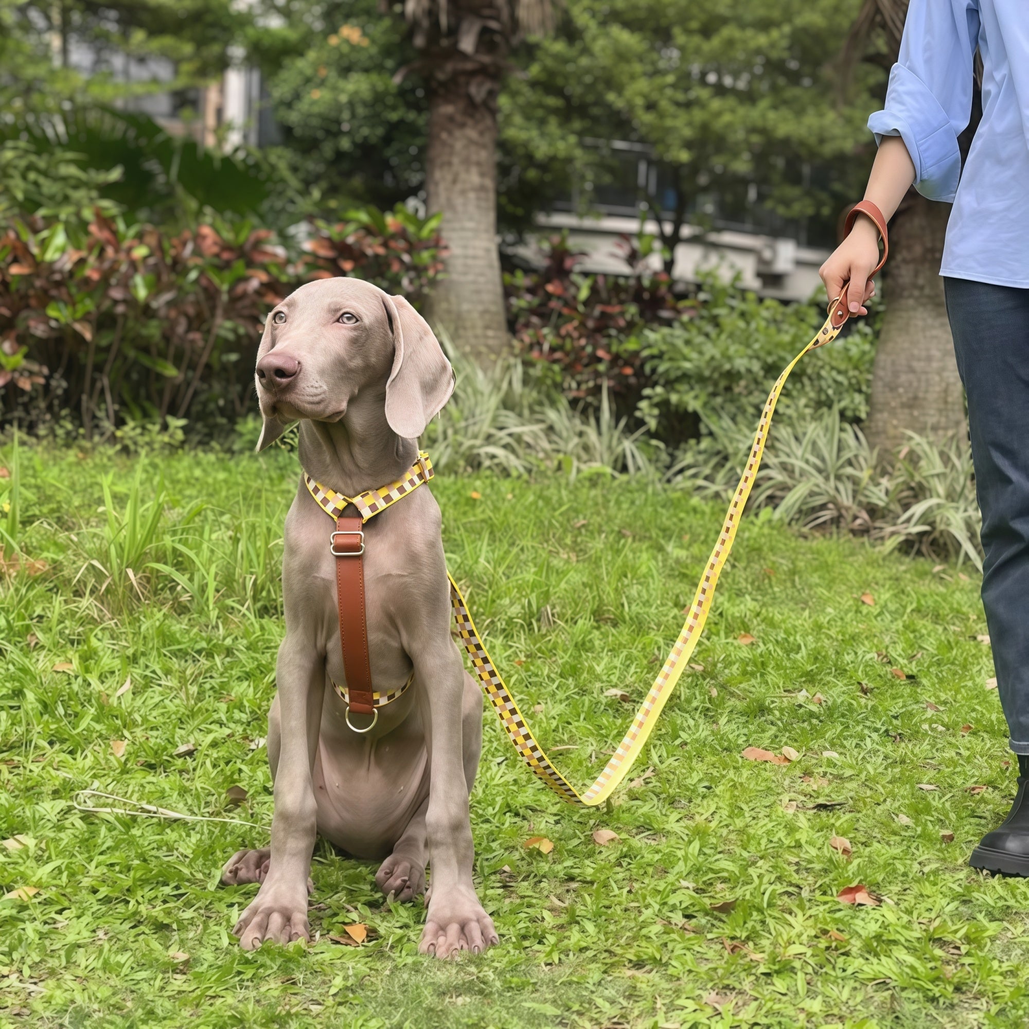 Minimal Leather-Webbing Dog Harness / Collar / Leash Set
