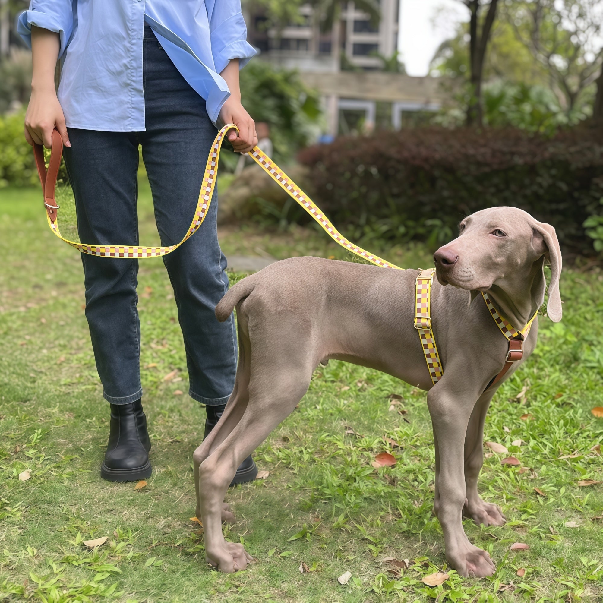 Minimal Leather-Webbing Dog Harness / Collar / Leash Set