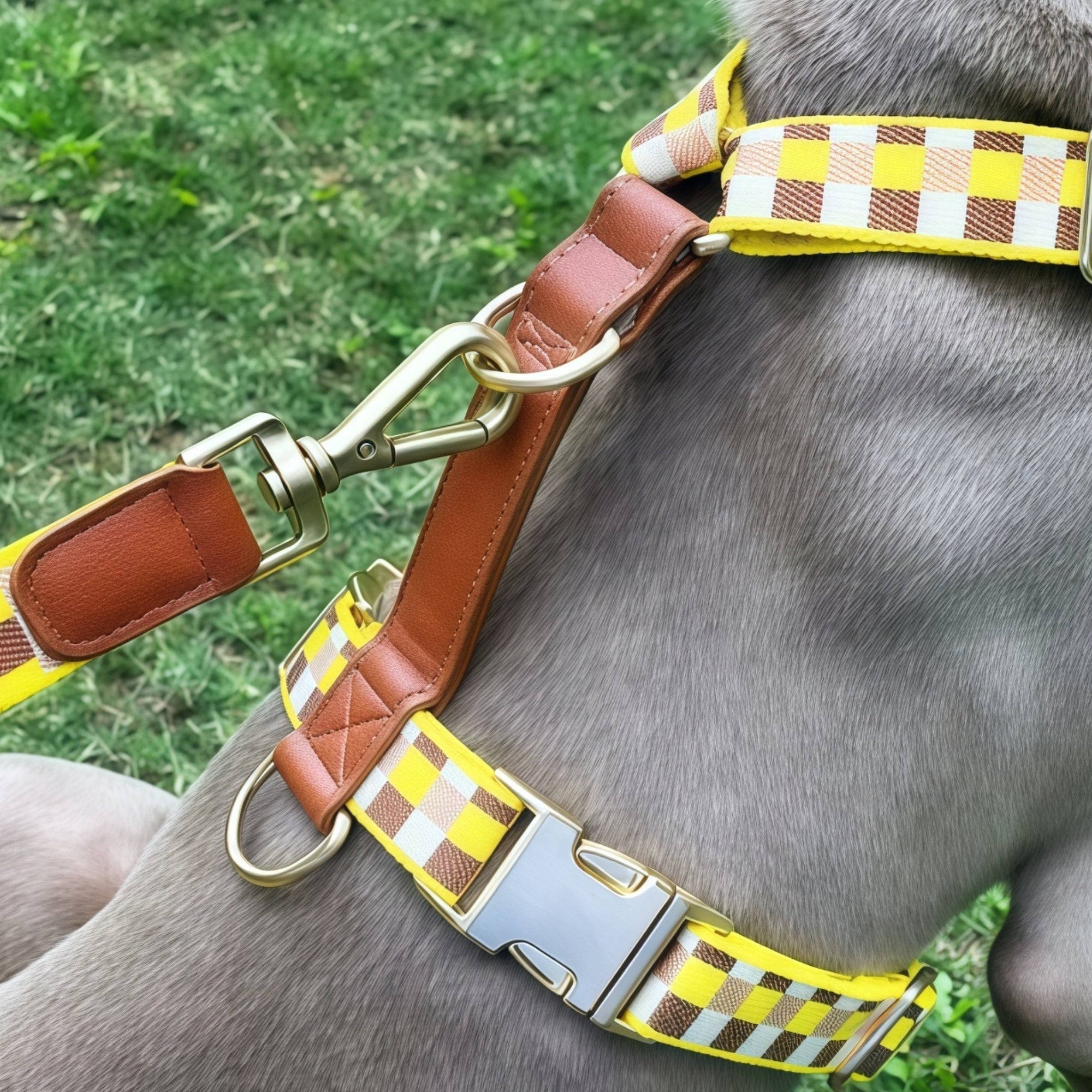 Minimal Leather-Webbing Dog Harness / Collar / Leash Set