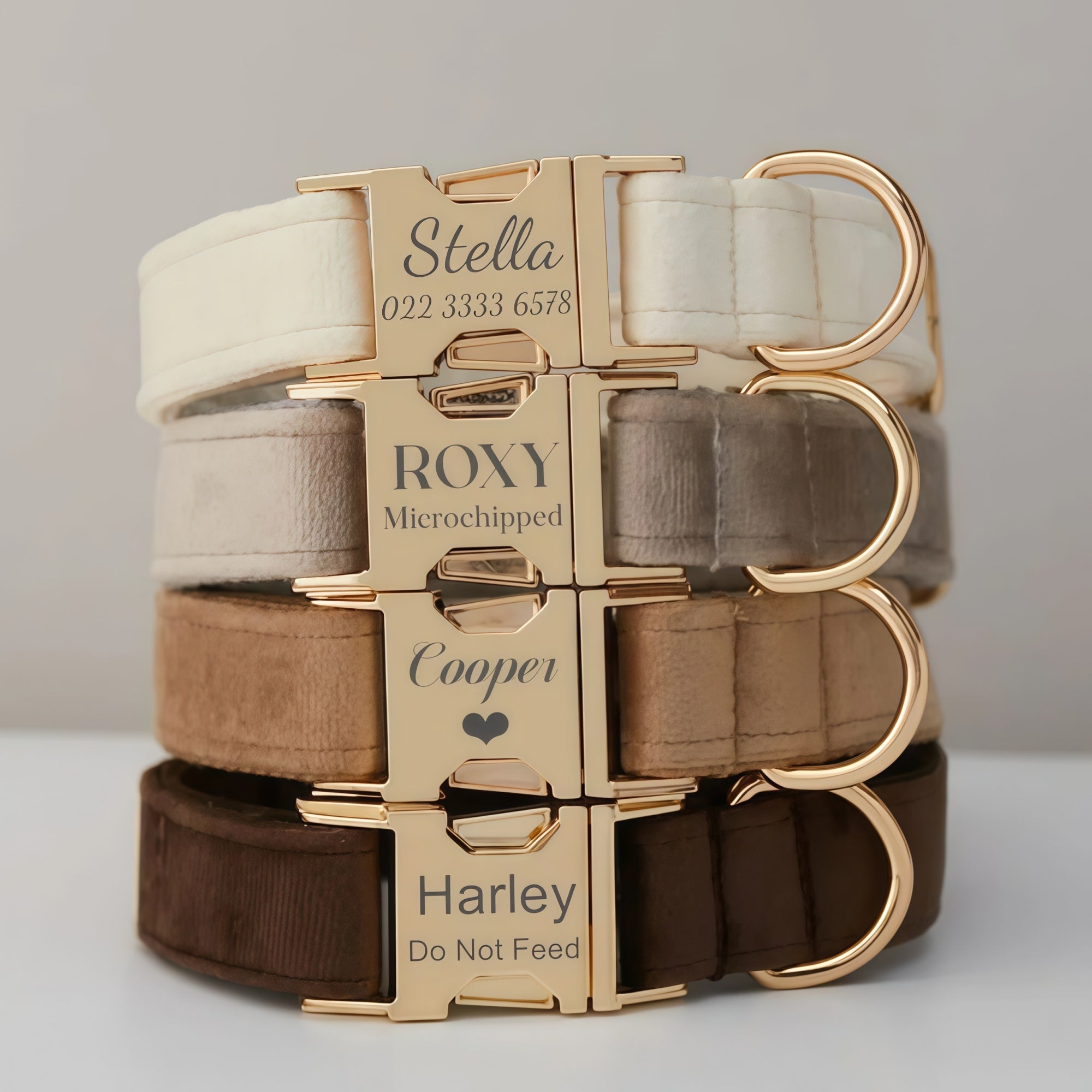 Personalized Velvet Dog Collar with Bow Tie