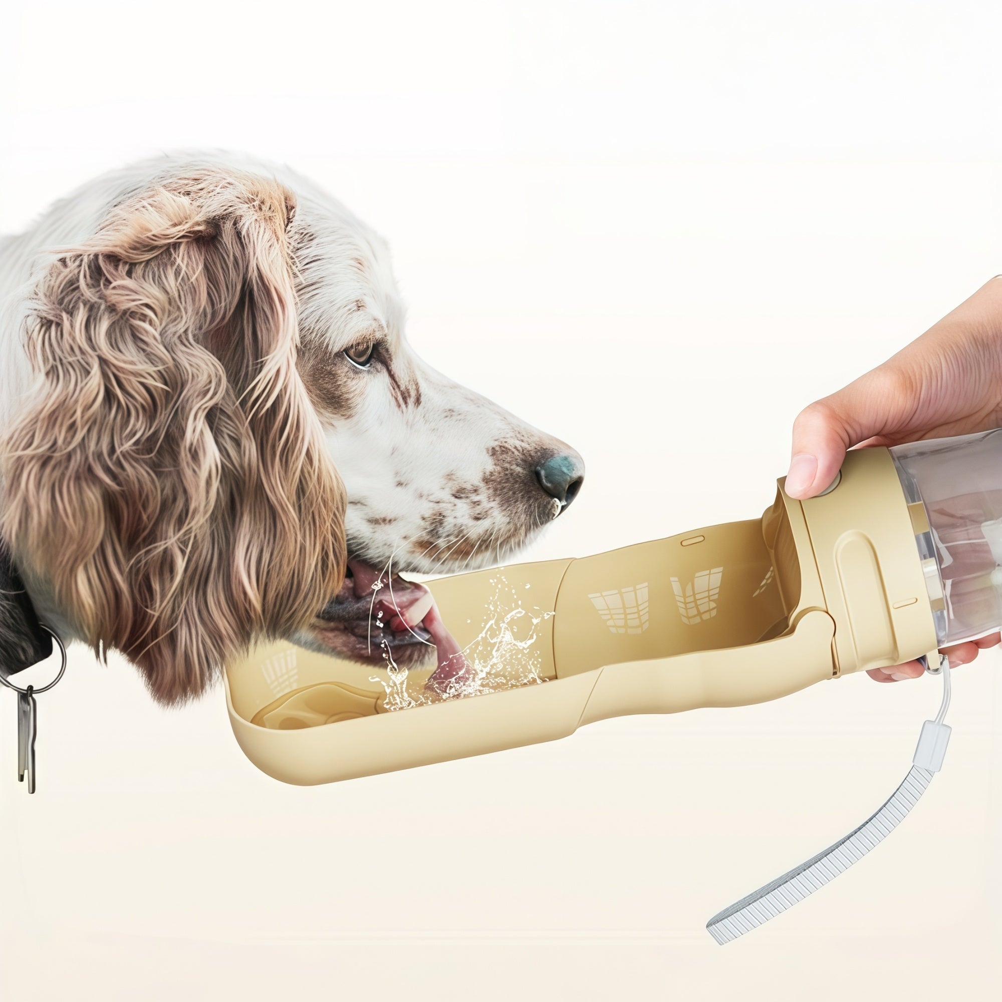 Portable 2-in-1 Pet Water Bottle & Folding Bowl