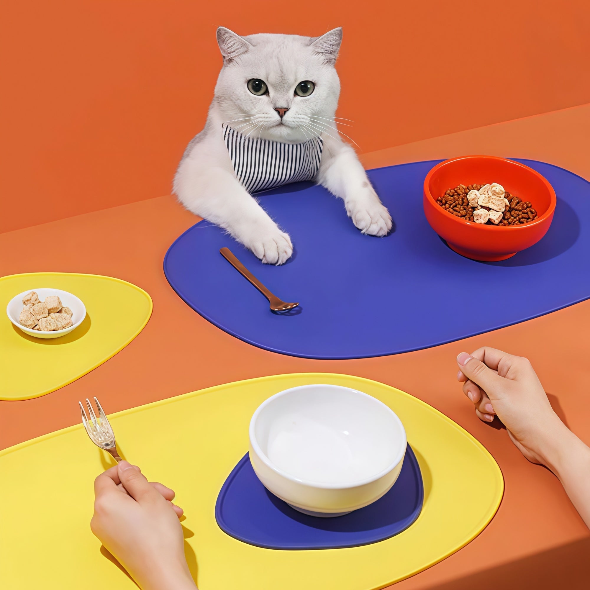 Geometric Silicone Pet Feeding Mat Set