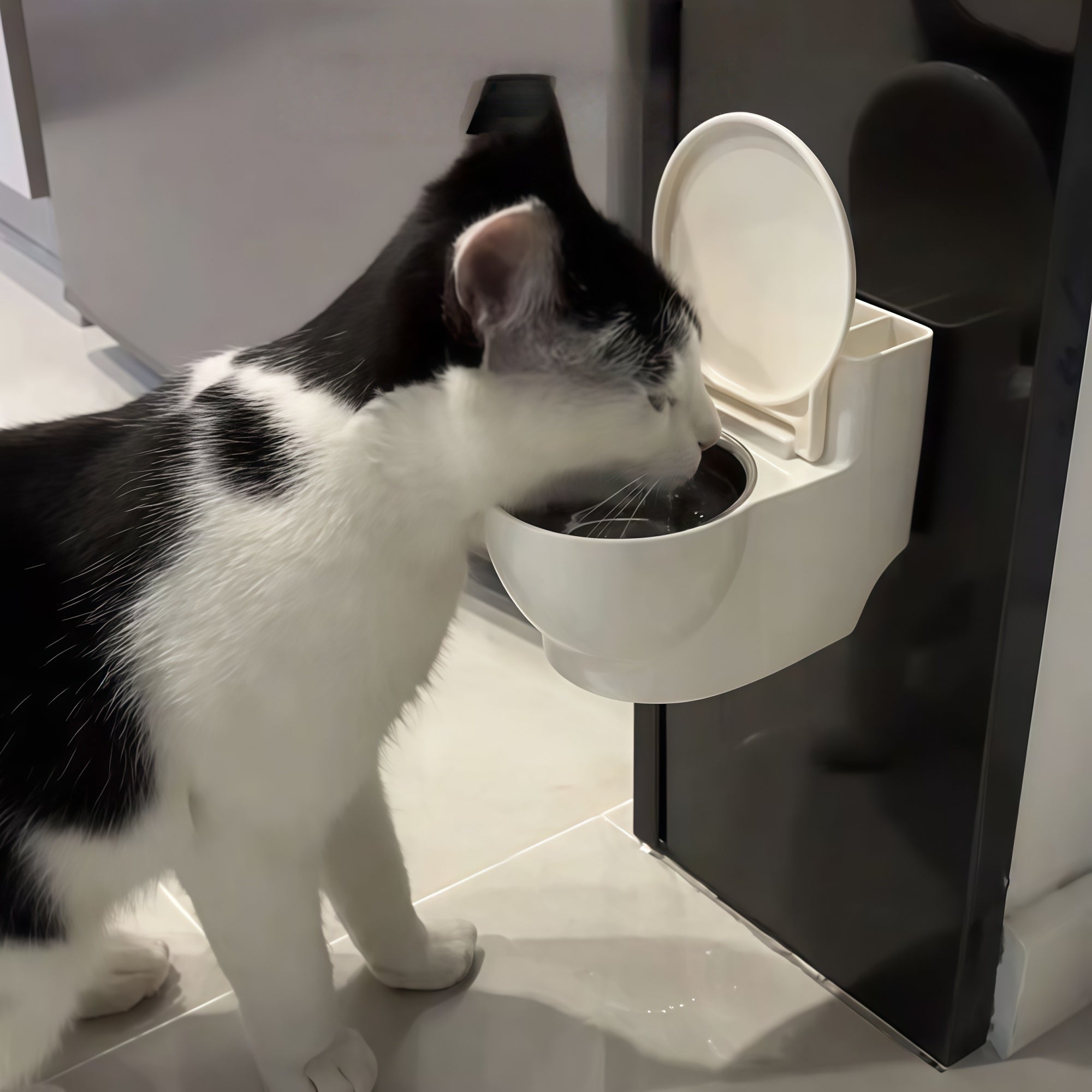 Wall-Mounted Toilet-Style Pet Water Bowl