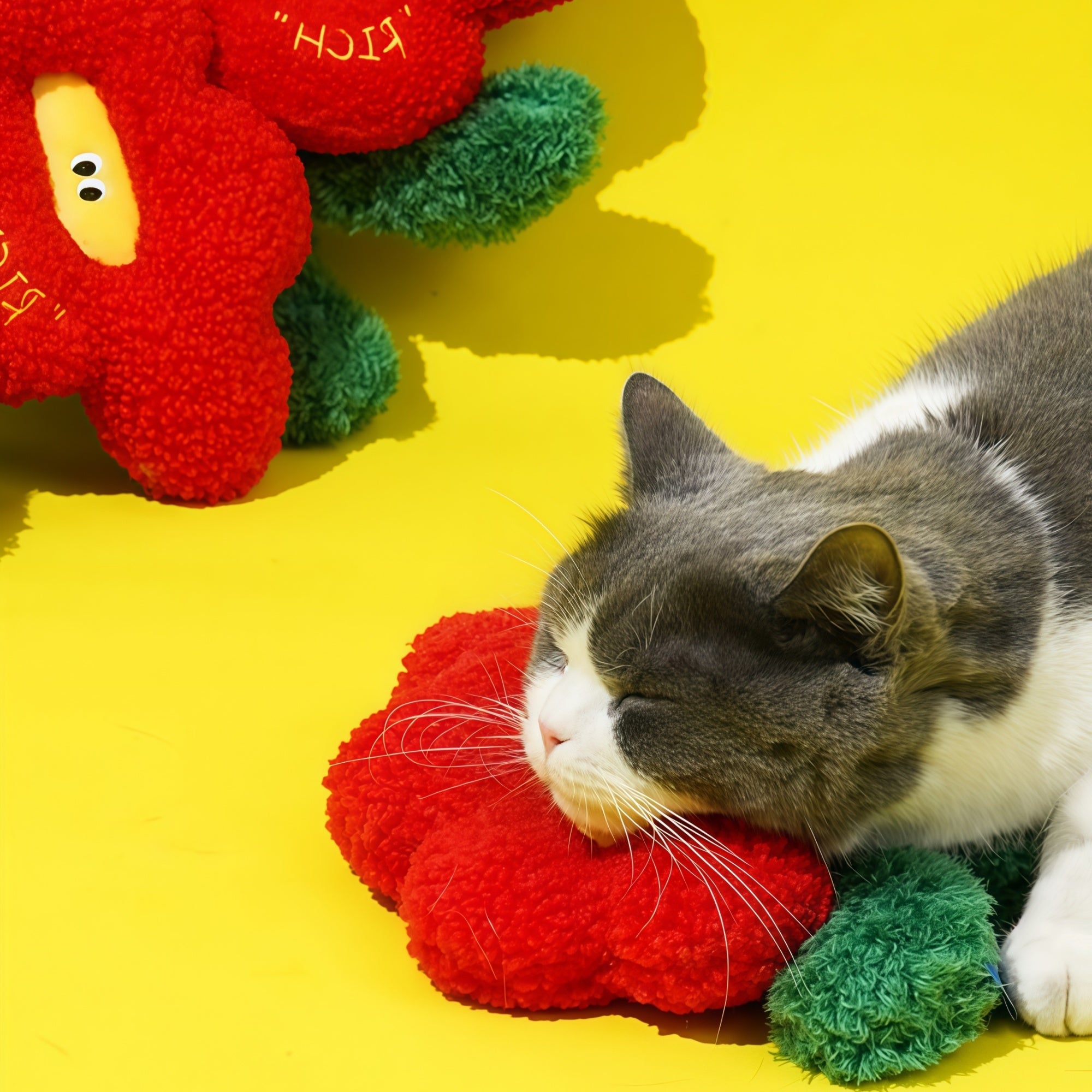 “Rich Bloom” Catnip Pillow Toy