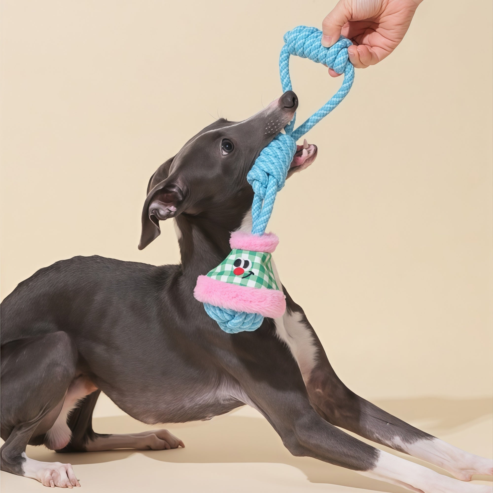 Interactive Tug Rope Dog Toy