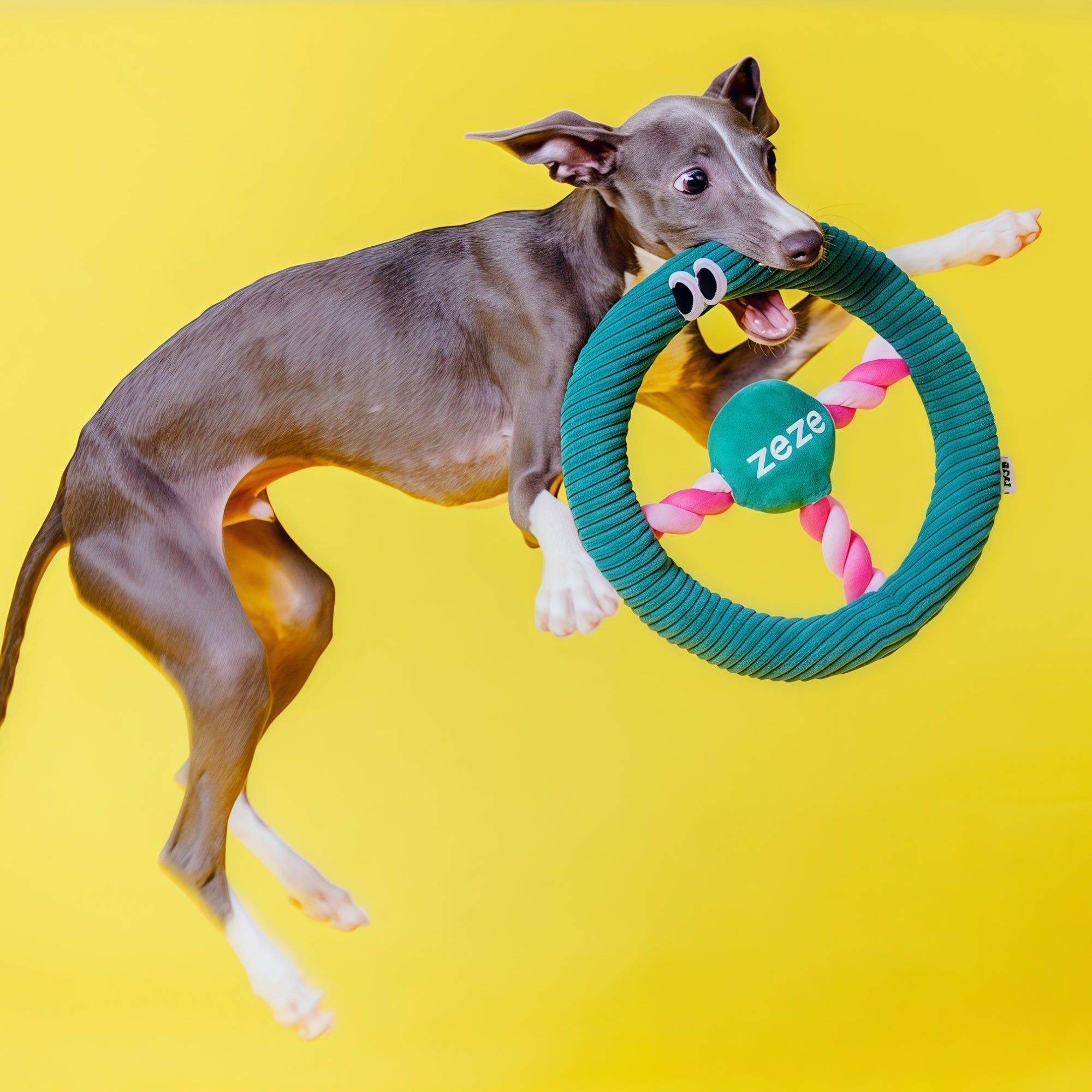 “Beep-Beep” Steering Wheel Dog Toy